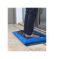 TAPIS DE DESINFECTION AVEC BACHE